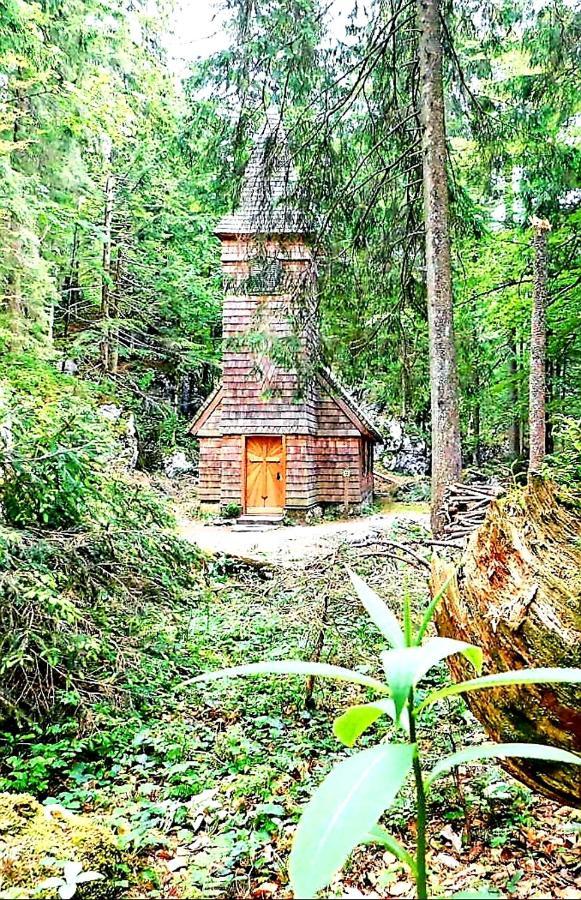 Tauglerei Appartement Bernstein In Den Zauberbergen Sankt Koloman Εξωτερικό φωτογραφία